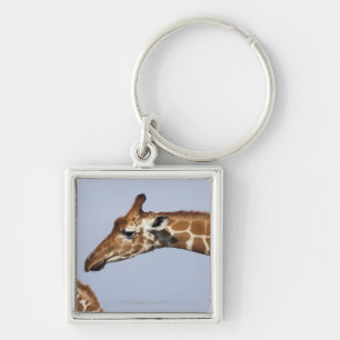 Porte-clés Paires de girafes réticulées (Giraffa