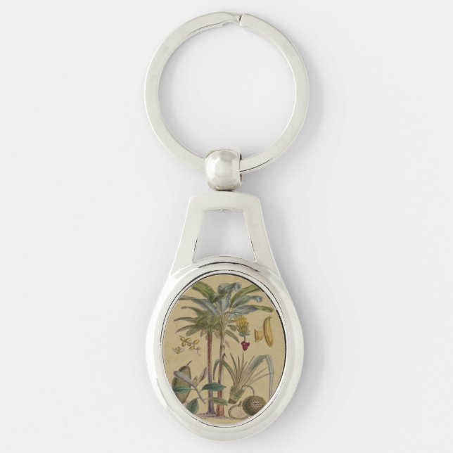 Porte-clés Palm Antique Fruit Tropical Art Botanique (Devant)