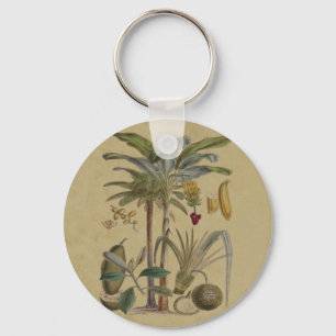 Porte-clés Palm Antique Fruit Tropical Art Botanique