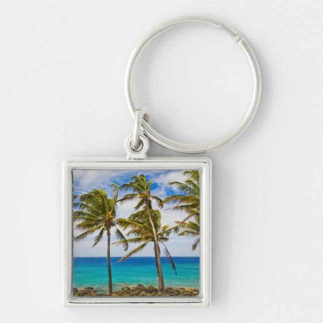 Porte-clés Palmier à coco (Cocos nucifera) se balançant dans (Devant)