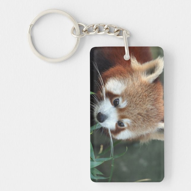 Porte-clés Panda roux, Taronga Zoo, Sydney, Australie (Devant)