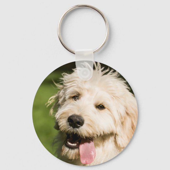 Porte-clés Panneaux de chiot Goldendoodle (Recto)