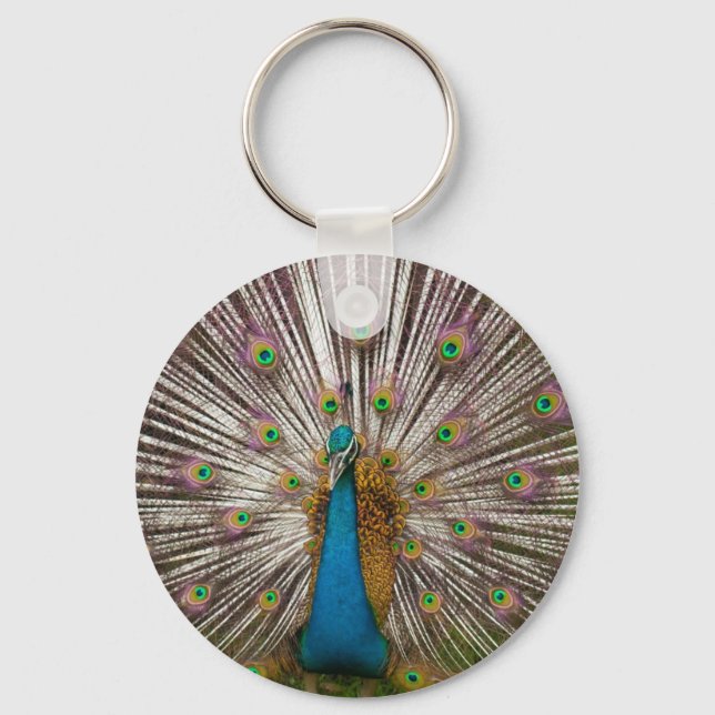 Porte-clés Paon Pacifique (Recto)