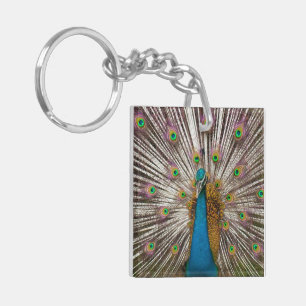 Porte-clés Paon paisible