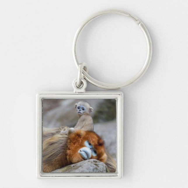 Porte-clés Papa singe à nez doré avec bébé (Devant)