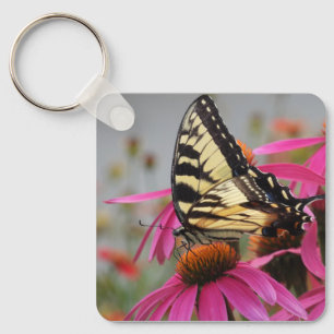 Porte-clés Papillon à queue jaune sur Echinacea rose