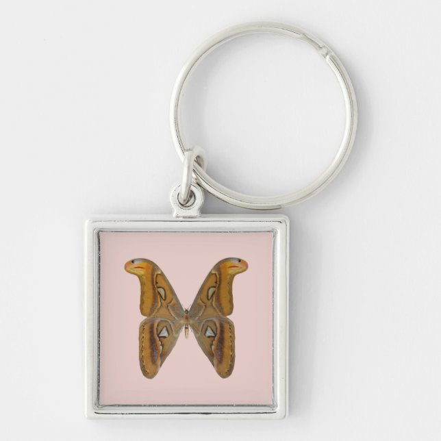 Porte-clés Papillon Atlas (Devant)