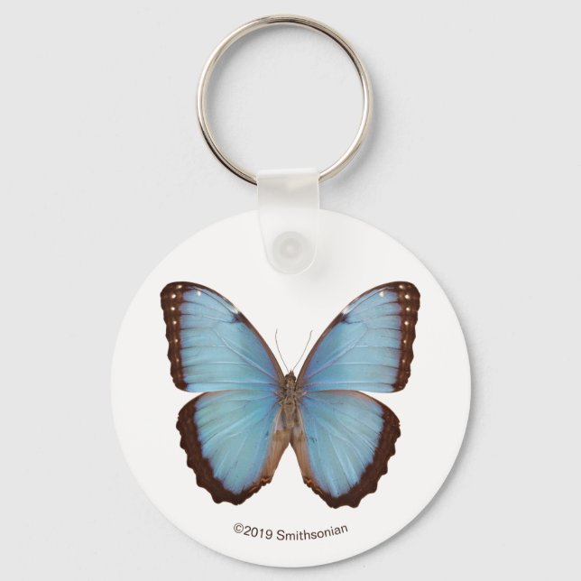 Porte-clés Papillon bleu Morpho (Recto)