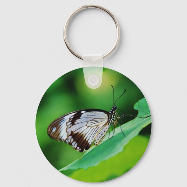 Porte-clés Papillon Brown foncé et gris (Recto)