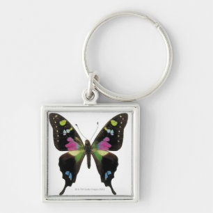 Porte-clés Papillon de Graphium