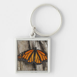 Porte-clés Papillon de monarque