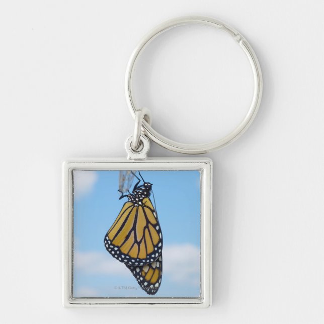 Porte-clés Papillon de monarque, avec Chrysalis (Devant)
