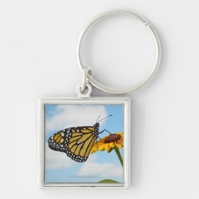 Porte-clés Papillon de monarque sur une Susan observée par (Devant)
