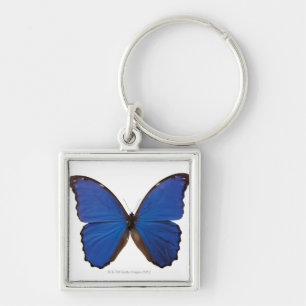 Porte-clés Papillon de Nestira Marpho