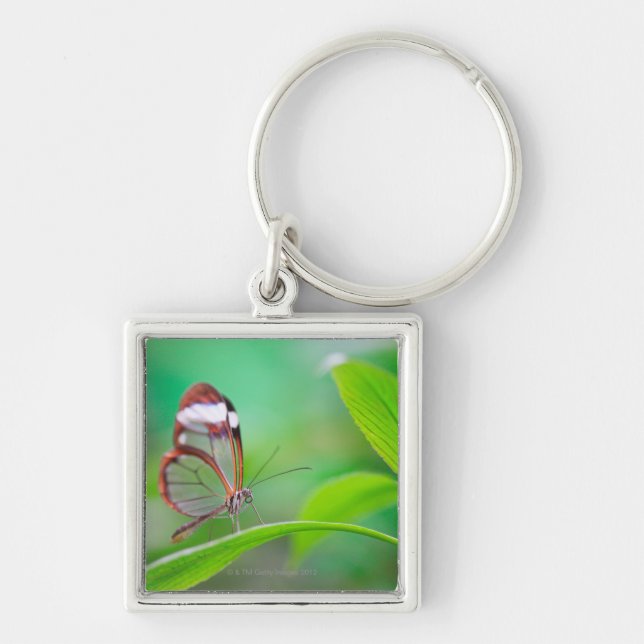 Porte-clés Papillon en verre d'aile détendant sur le vert (Devant)