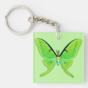 Porte-clés Papillon lune sur fond vert pâle