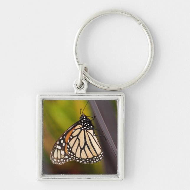 Porte-clés Papillon Monarque sur Agave (Devant)