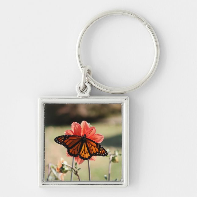 Porte-clés Papillon monarque sur une Dahlia (Devant)