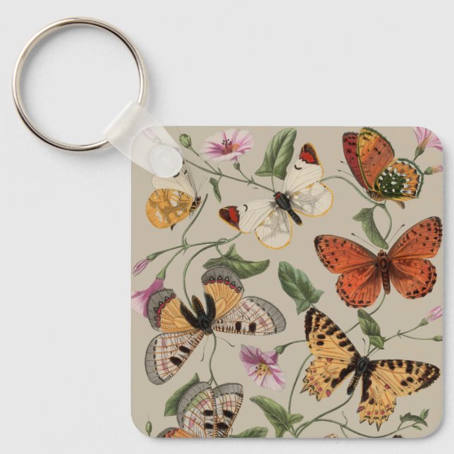 Porte-clés Papillon Moth Nature Collection Dessin (Recto)