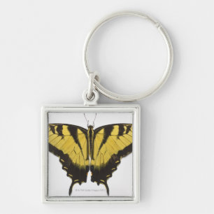 Porte-clés Papillon occidental de machaon de tigre