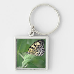 Porte-clés Papillon sur la feuille