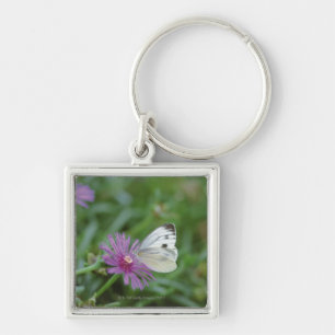 Porte-clés Papillon sur la fleur