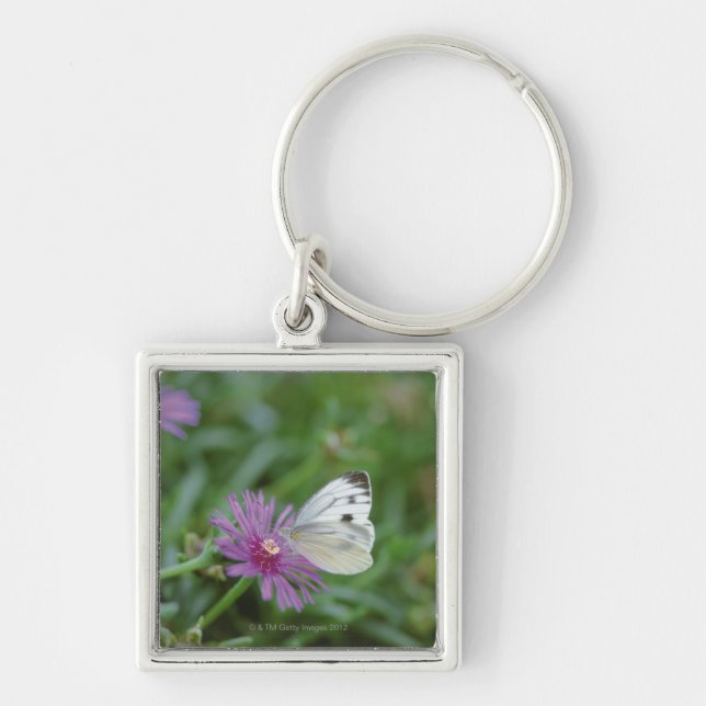 Porte-clés Papillon sur la fleur (Devant)