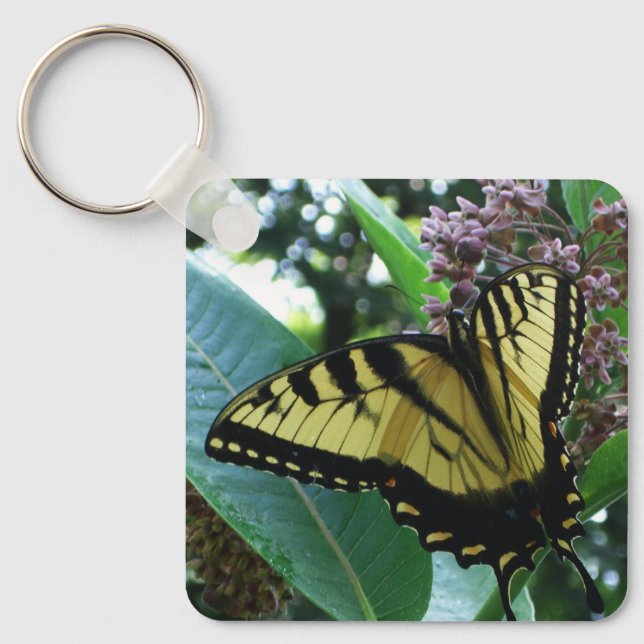 Porte-clés Papillon swallowtail I sur l'asclépiade à Shenando (Recto)