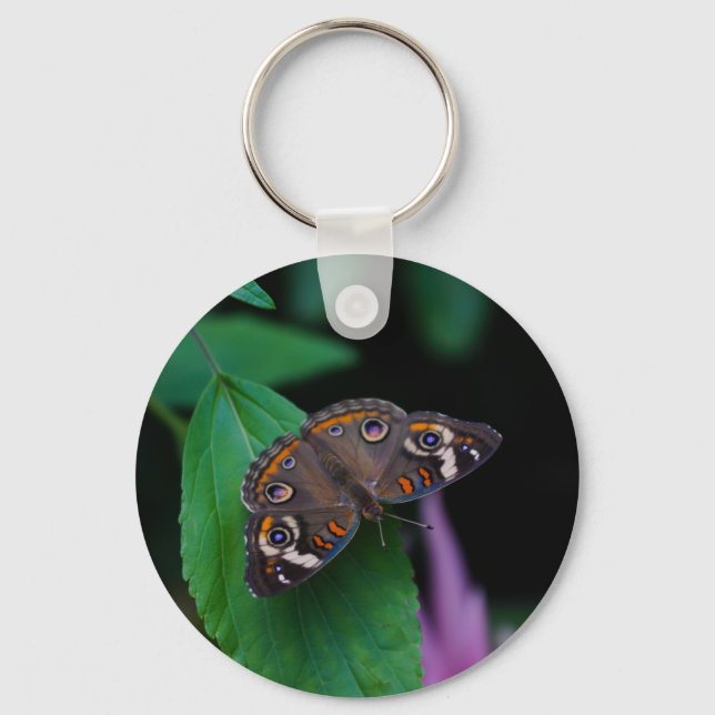 Porte-clés Papillon tacheté (Recto)