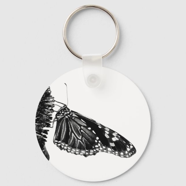Porte-clés papillon timide blacq (Recto)