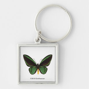 Porte-clés Papillon vert de Birdwing