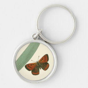Porte-clés Papillons colorés qui se drapent autour d'une feui