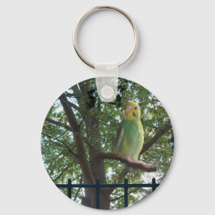 Porte-clés Parakeet