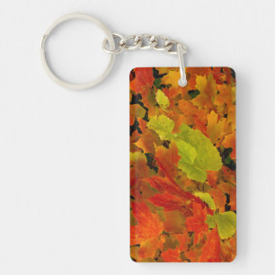 Porte-clés Parc d'État d'Itasca, couleurs d'automne