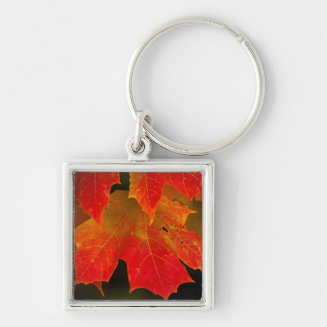 Porte-clés Parc d'État d'Itasca, couleurs d'automne 2 (Devant)