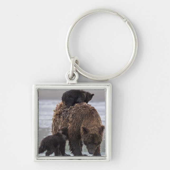 Porte-clés Parc national de Clark de lac bear Brown | (Devant)