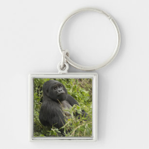 Porte-clés Parc national des Volcans, Gorille de montagne