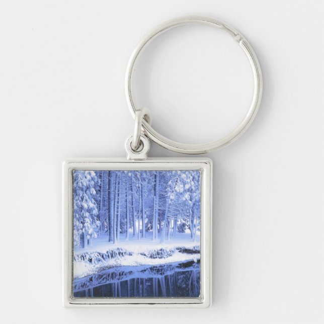 Porte-clés PARC NATIONAL DU YOSEMITE, CALIFORNIE.États-UnisFr (Devant)