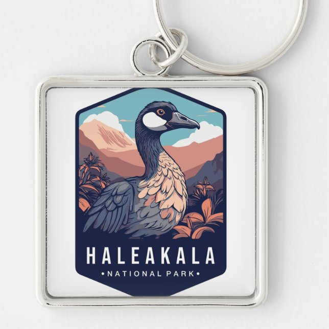 PORTE-CLÉS PARC NATIONAL HALEAKALA (Devant)