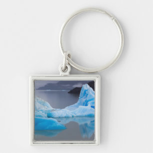 Porte-clés Parc national Torres del Paine, glace glaciaire