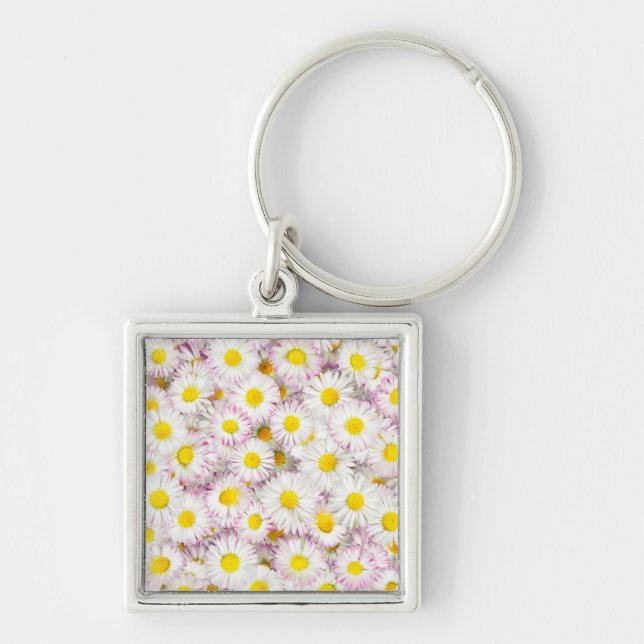 Porte-clés Patters Pink Purple Daisy Flower (Devant)