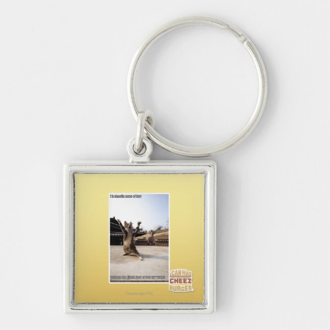 Porte-clés Pattes de shaolin de l'iz I de fureur (Devant)