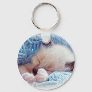 Porte-clés Pattes siamoises de chaton de sommeil