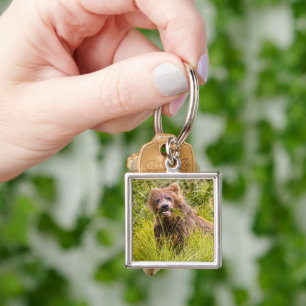 Porte-clés Pâturage des petits grizzlis, Alaska