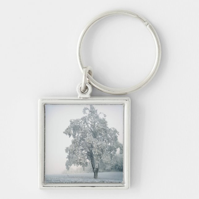 Porte-clés Paysage d'hiver de Milou (Devant)