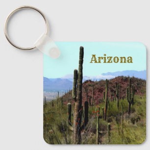 Porte-clés paysage montagneux de saguaro en Arizona