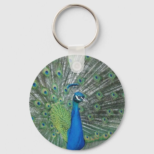 Porte-clés Peacock dansant (Recto)