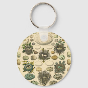 Porte-clés Peinture artistique de nid d'oeuf d'oiseau vintage