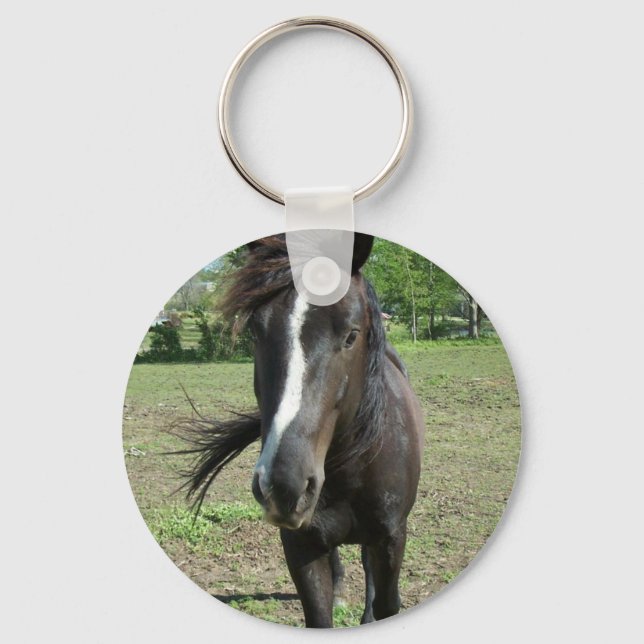 Porte-clés Peinture de cheval (Recto)
