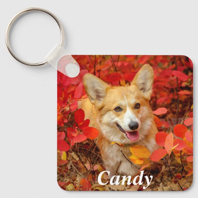 Porte-clés Pembroke Welsh Corgi Puppy Dog in Red Leaves (Recto)